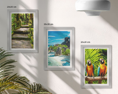 Photo frame wall Tropical forest with a waterfall and colorful parrots