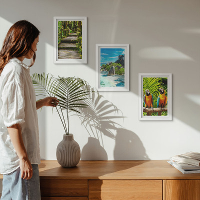 Photo frame wall Tropical forest with a waterfall and colorful parrots