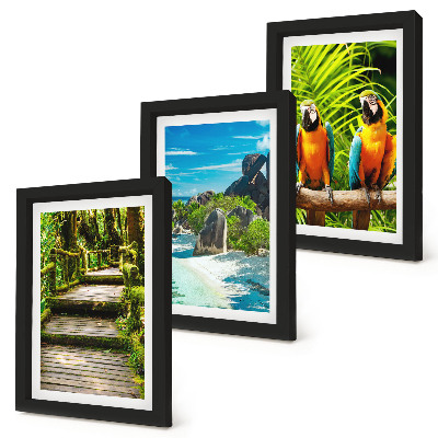 Photo frame wall Tropical forest with a waterfall and colorful parrots