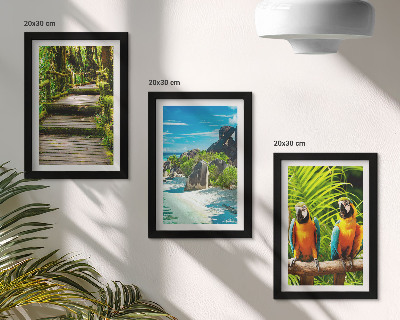 Photo frame wall Tropical forest with a waterfall and colorful parrots