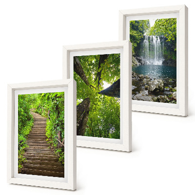 3-piece wall art set Forest path with waterfall and green vegetation