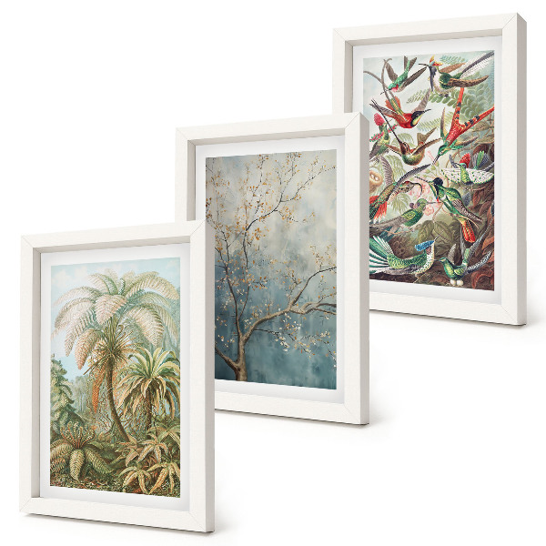 Photo frame wall Tropical plants and colorful birds in nature