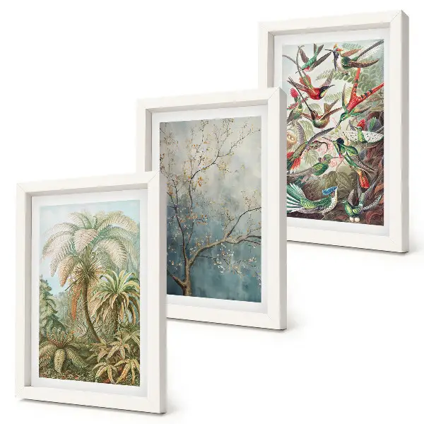 Photo frame wall gallery set with tropical plants and colorful birds in nature art
