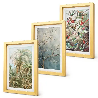 Photo frame wall gallery set with tropical plants and colorful birds in nature art