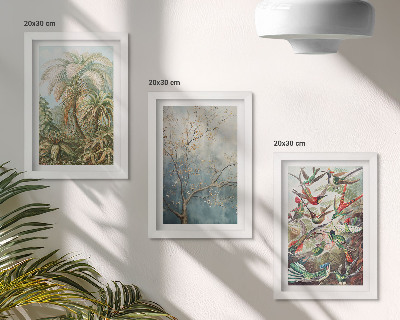 Photo frame wall Tropical plants and colorful birds in nature