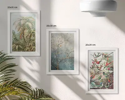 Photo frame wall gallery set with tropical plants and colorful birds in nature art