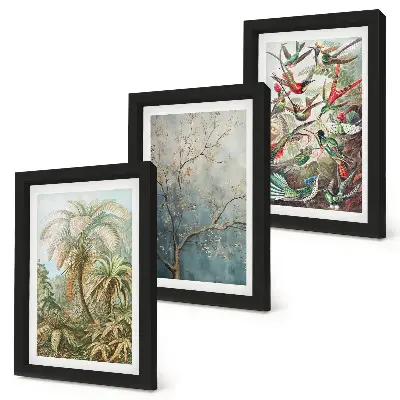Photo frame wall gallery set with tropical plants and colorful birds in nature art