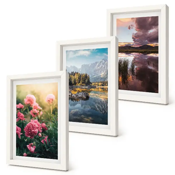 Photo frame wall set flowers in the garden, mountains and calm water landscape