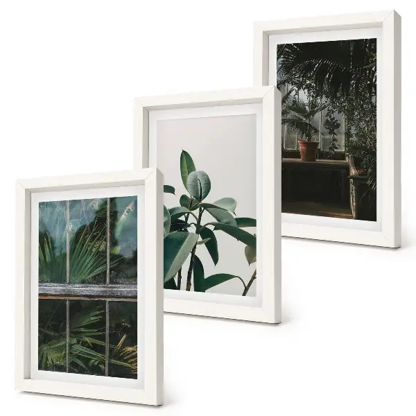 Green leaves on the window and plants inside framed triptych