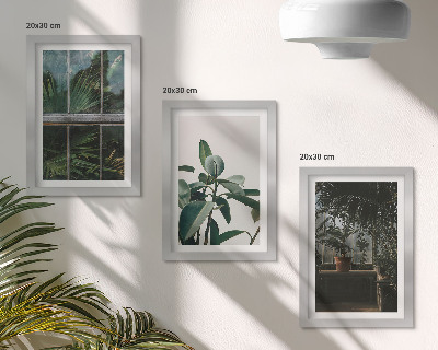 Framed triptych Green leaves on the window and plants inside