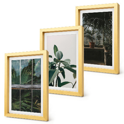 Framed triptych Green leaves on the window and plants inside