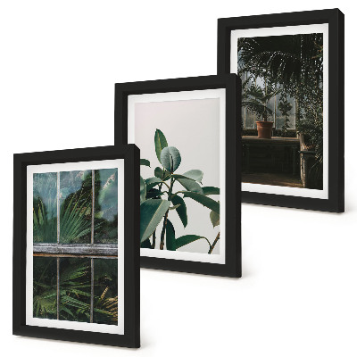 Framed triptych Green leaves on the window and plants inside