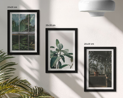 Framed triptych Green leaves on the window and plants inside