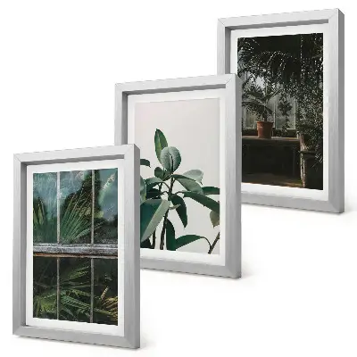 Green leaves on the window and plants inside framed triptych