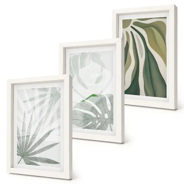 Photo frame wall with green and gray plant leaves