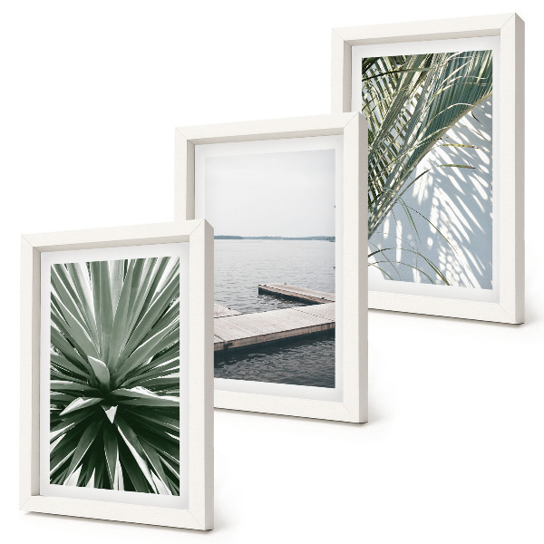 Photo frame wall Palm leaves plant and wooden bridge