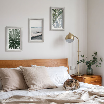 Photo frame wall Palm leaves plant and wooden bridge