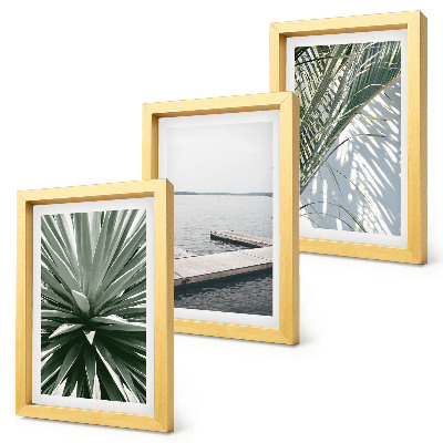 Photo frame wall Palm leaves plant and wooden bridge