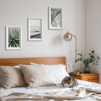 Photo frame wall Palm leaves plant and wooden bridge