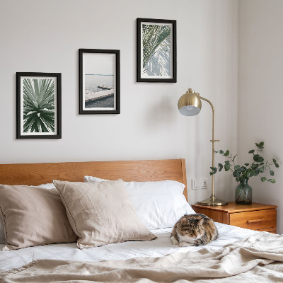 Photo frame wall Palm leaves plant and wooden bridge