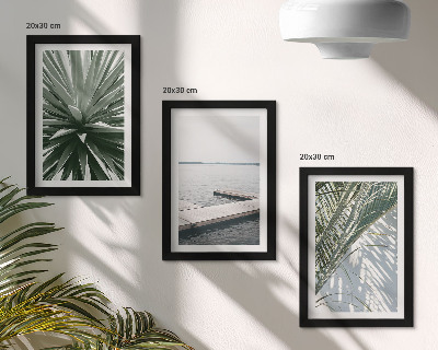 Photo frame wall Palm leaves plant and wooden bridge