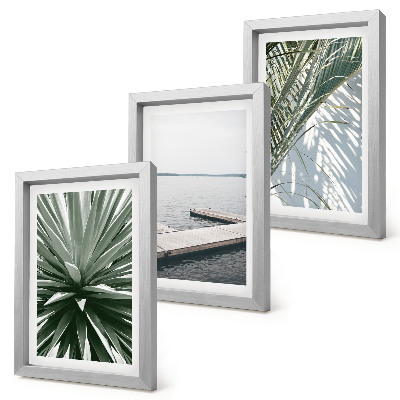 Photo frame wall Palm leaves plant and wooden bridge