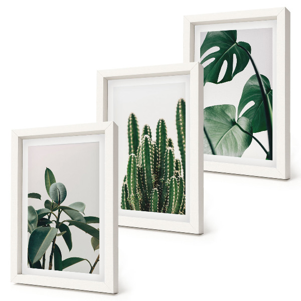 Framed triptych Tropical houseplants aesthetic leaves