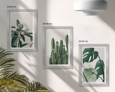 Framed triptych Tropical houseplants aesthetic leaves
