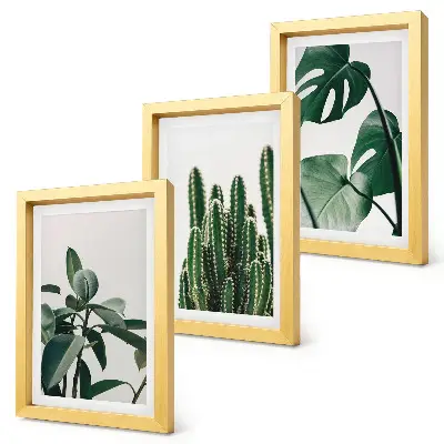 Tropical houseplants aesthetic leaves triptych framed wall art set