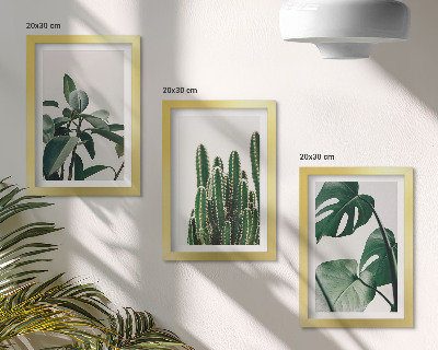 Framed triptych Tropical houseplants aesthetic leaves