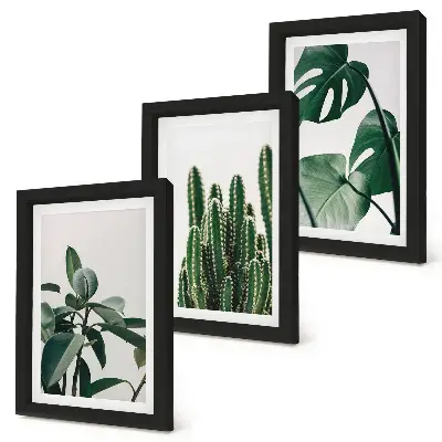 Tropical houseplants aesthetic leaves triptych framed wall art set