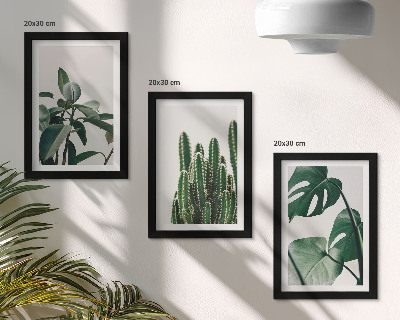Framed triptych Tropical houseplants aesthetic leaves