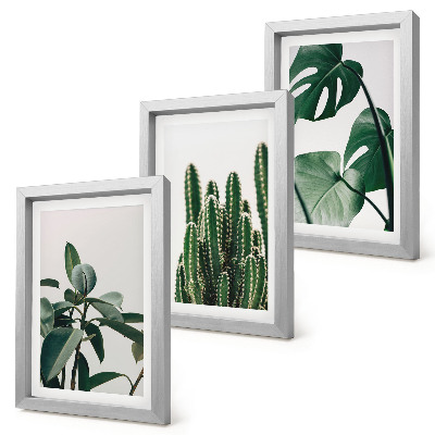 Framed triptych Tropical houseplants aesthetic leaves
