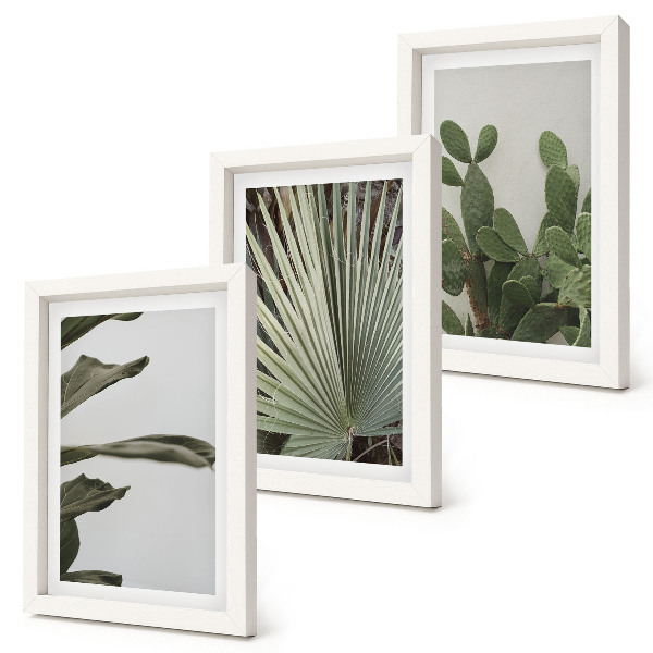 Framed triptych Leaves of tropical plants in pastel colors