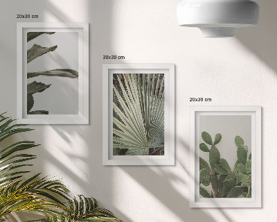 Framed triptych Leaves of tropical plants in pastel colors