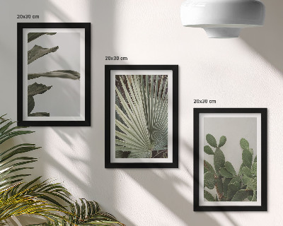 Framed triptych Leaves of tropical plants in pastel colors