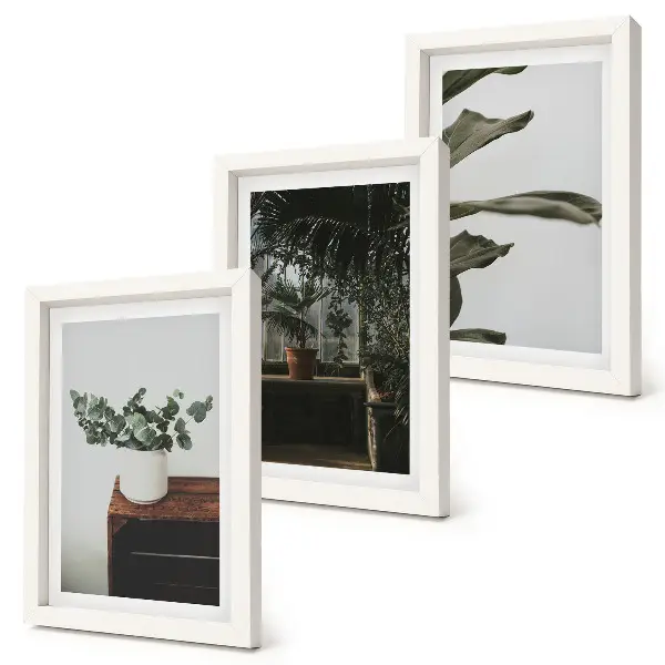 Potted plants with rustic leaves framed triptych three-piece framed wall art set
