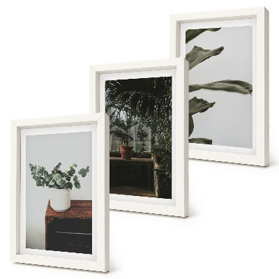 Framed triptych Potted plants with rustic leaves