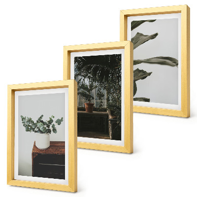 Framed triptych Potted plants with rustic leaves