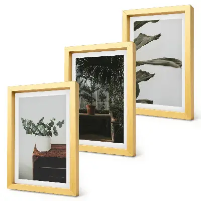 Potted plants with rustic leaves framed triptych three-piece framed wall art set
