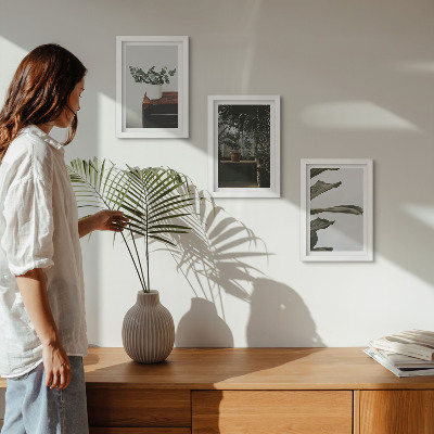 Framed triptych Potted plants with rustic leaves