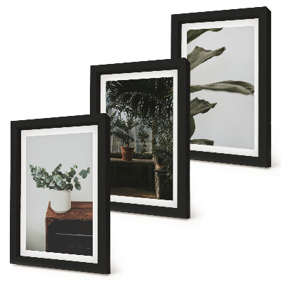 Framed triptych Potted plants with rustic leaves