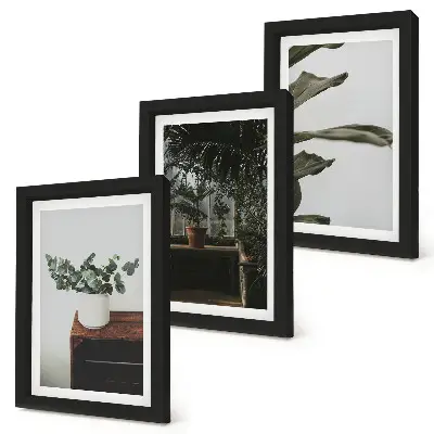 Potted plants with rustic leaves framed triptych three-piece framed wall art set