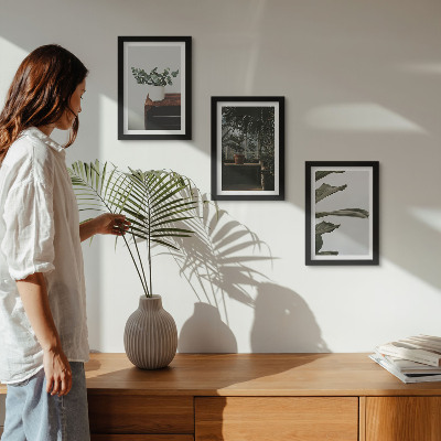 Framed triptych Potted plants with rustic leaves