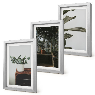 Framed triptych Potted plants with rustic leaves