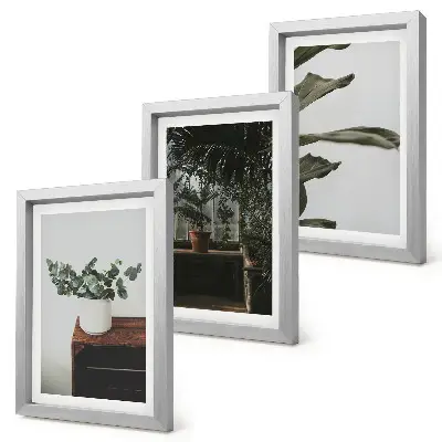 Potted plants with rustic leaves framed triptych three-piece framed wall art set