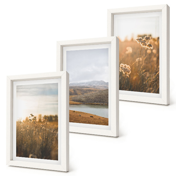 Framed triptych Landscapes with meadows, mountains and a lake in the background