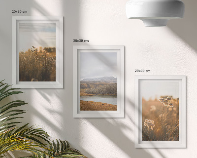 Framed triptych Landscapes with meadows, mountains and a lake in the background