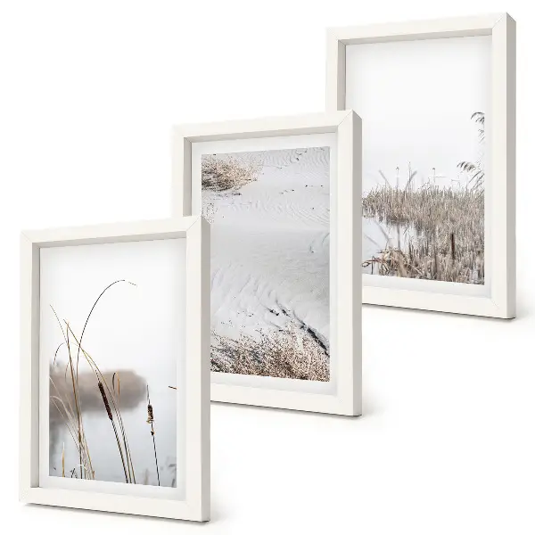 3-Piece Wall Art Set aquatic vegetation with delicate summer views