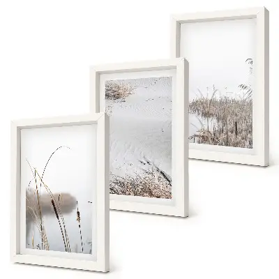 3-Piece Wall Art Set aquatic vegetation with delicate summer views